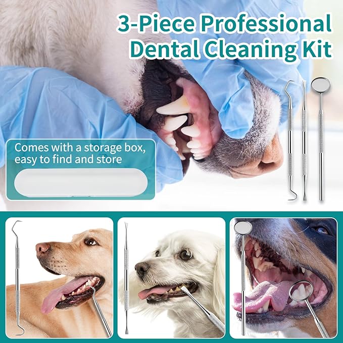 Dog Plaque Tartar Remover, Electric Toothbrush Teeth Cleaner Dental Care Kit for Dogs Cats- 5 Modes LED IPX6 Waterproof Auto-Stop Gum Protection USB Charge, 3 Brush Heads, Pet Teeth Cleaning Tools