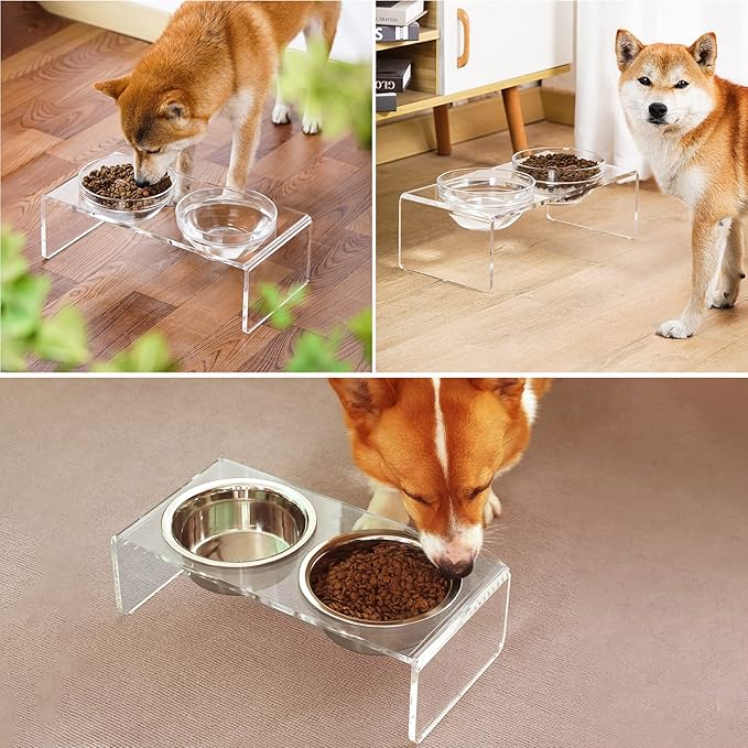 Acrylic Elevated Dog Cat Bowls Pet Feeder Double Bowl Raised Stand Comes with 2 Removable Glass Bowls and 2 Stainless Steel Bowls.Perfect for Medium Dogs, 5.5" Tall