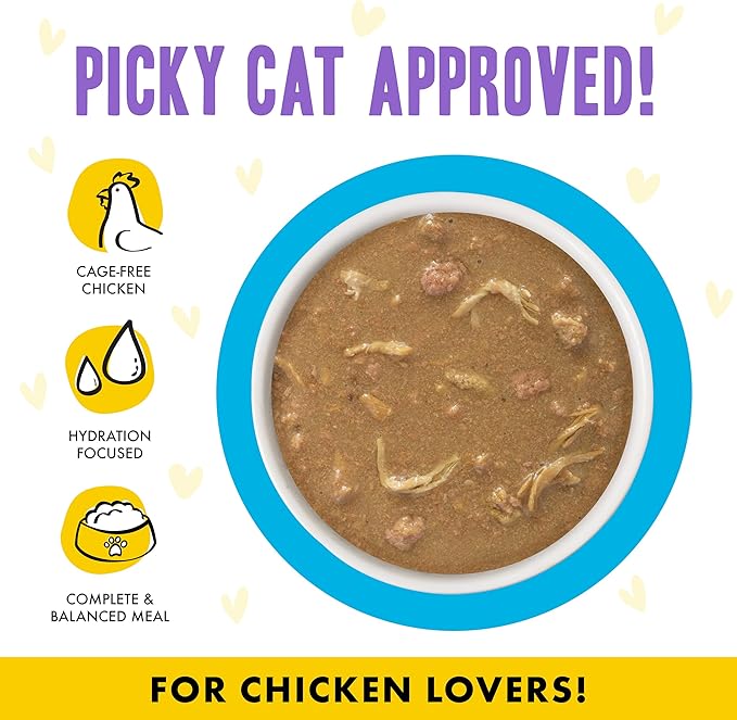 Weruva B.F.F. OMG - Best Feline Friend Oh My Gravy!, Chicken Cloud 9 with Chicken in Gravy, 2.8oz Can (Pack of 12)