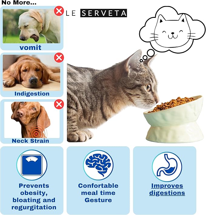 Ceramic Raised Cat Bowl, Elevated Pet Food Bowl for Small Dog, Cute Cat Dish Tilted, Whisker Fatigue, Wrinkle Texture (Yellow)