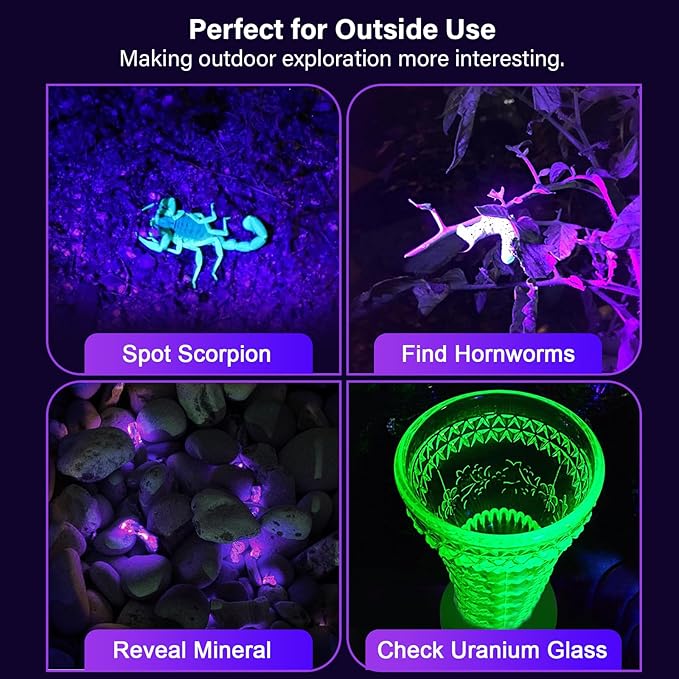 ESCO LITE UV Flashlight Black Light, 100 LED 395 nM Ultraviolet Flashlights UV Blacklight Detector for Dog Urine, Pet Stains and Bed Bug, Matching with Pet Odor Eliminator