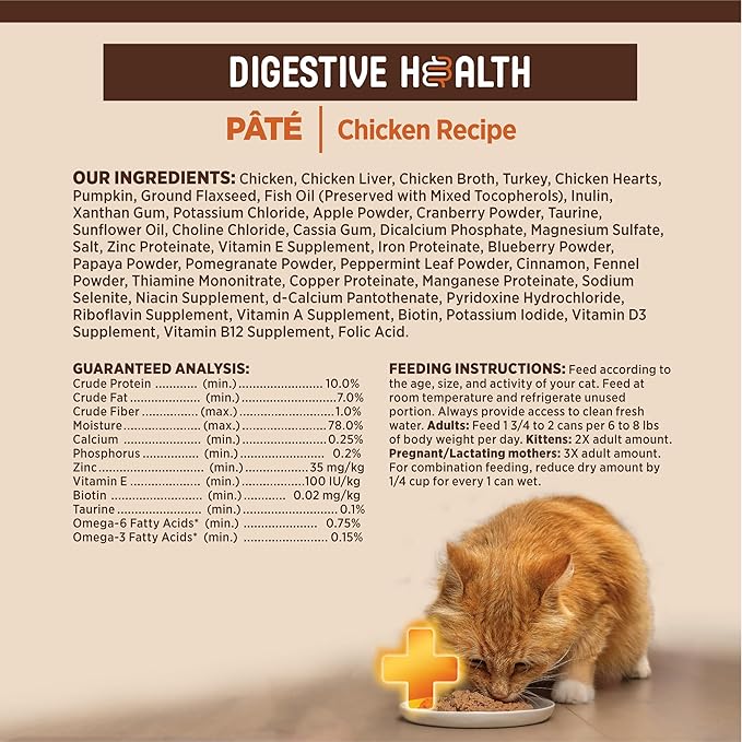 Wellness CORE+ Digestive Health Pate Adult Wet Cat Food, Natural, Protein-Rich, Grain Free, 3 Ounce, 12 Pack (Chicken)