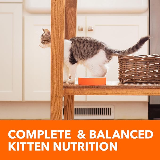 IAMS Proactive Health Healthy Kitten Dry Cat Food with Chicken, 3.5 lb. Bag