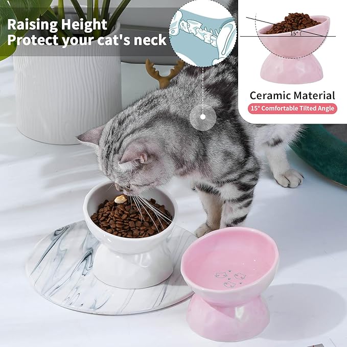 OMAYKEY Ceramic Raised Cat Bowls, Tilted Elevated Cat Food and Water Bowls, Pet Bowl Dish for Cats and Small Dogs, Pink, Set of 2