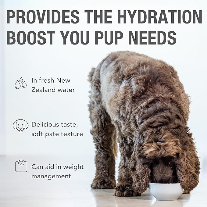 K9 Natural Wet Dog Food Pate, Beef Feast, 6 Oz Cans (Pack of 12), Grain Free, Made in New Zealand with Grass-Fed & Finished Beef, Single Source, Limited Ingredient