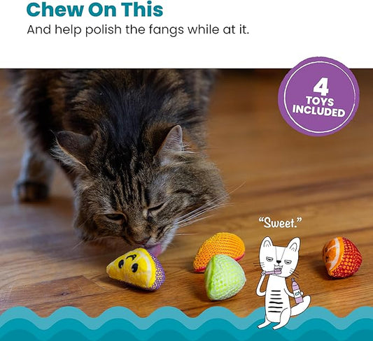 Catstages Dental Fruit Wedges 4 Pk, Soft and Textured Catnip Chew Toys That Help Clean Teeth, Multicolored