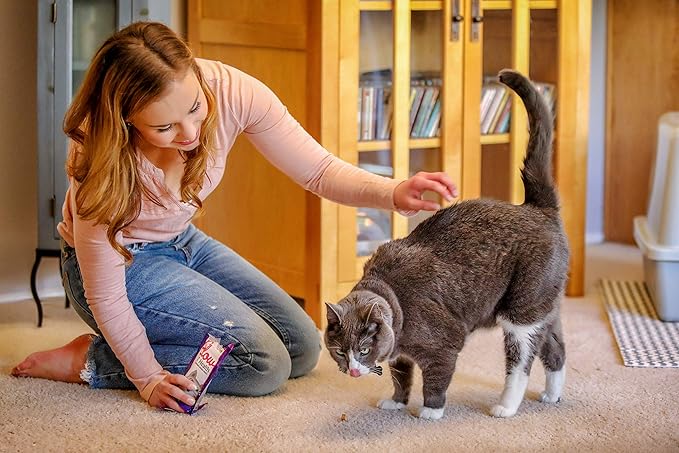 Smile Daily Dental Health Soft Chews for Cats, Support Healthy Teeth and Fresh Tongue with Catnip and Green Tea, Prebiotics, and Chlorophyll for Fresh Breath, 10.5 oz