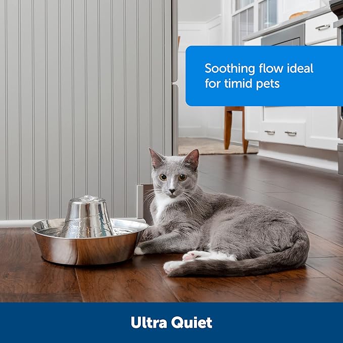 PetSafe Seaside Stainless Pet Fountain - Encourages Hydration - Dual Filtration Removes Odors - Compact Design - Rust Resistant Material - Quiet Motor -