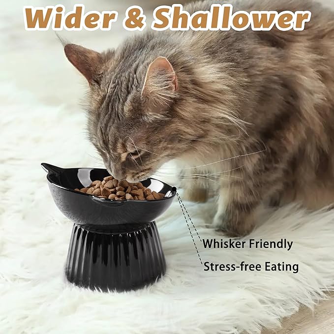 Ceramic Raised Cat Bowl,Tilted Raised Bowl Anti Vomit for Indoor Cats Whisker Friendly Pet Feeder for Cats Puppies, Microwave and Dishwasher Safe (Black)