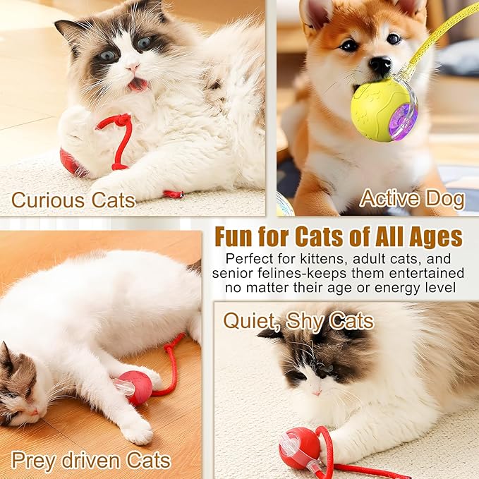 Interactive Cat Toys Ball for Indoor Cats, 2025 New Automatic Rolling Pet Balls with Rope, Three Modes Adjustment, Rechargeable Cat Enrichment Toys (Red)