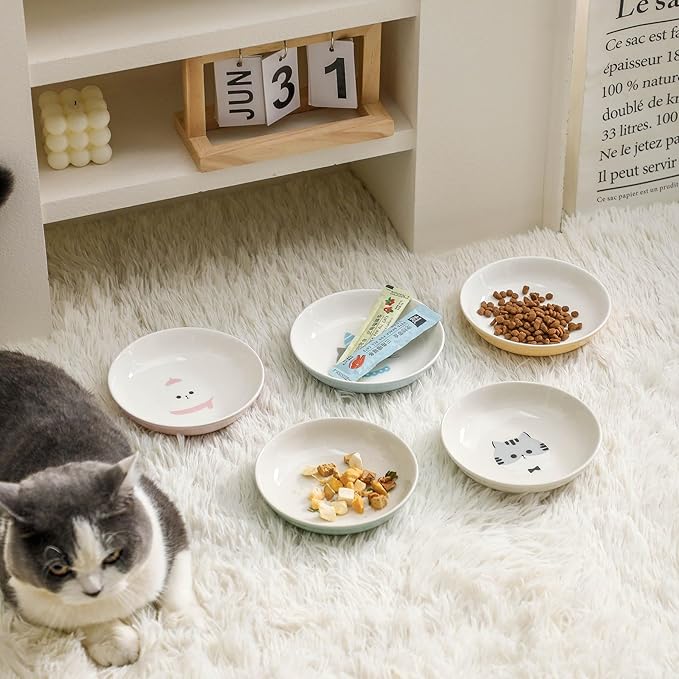 Ceramic Cat Bowls Set - 5.5 inch Wide Cat Food Bowls Whisker Fatigue Friendly, 5 Colorful Kitten Dish Plates with Cute Pattern for Wet and Dry Food Water