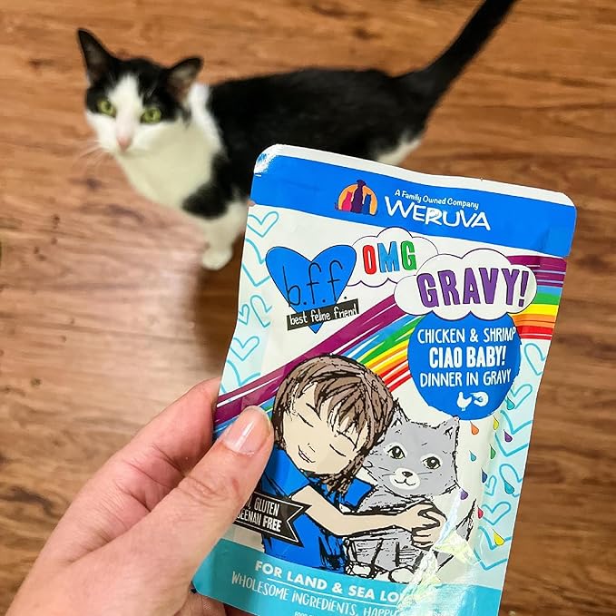 Weruva B.F.F. OMG - Best Feline Friend Oh My Gravy!, Tuna & Salmon Sweet Cheeks with Tuna & Salmon in Gravy Cat Food, 3oz Pouch (Pack of 12)