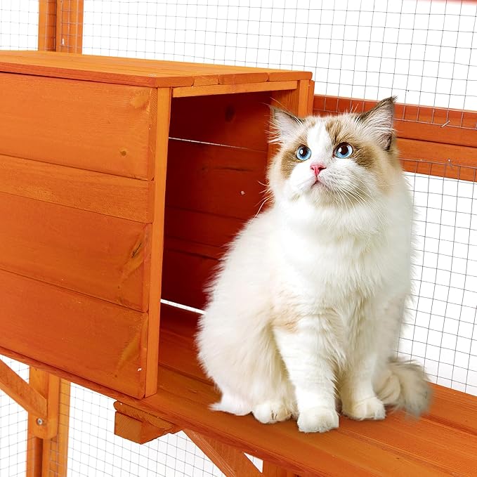 Large Wooden Catio Outdoor Cat Enclosure - Cat Play & Run Enclosures Indoor Kitty Window Catio with Waterproof Roof, 7 Platforms & 2 Resting Box, UV Resistant, 62.5" L x 32.5" W x 70" H, Orange
