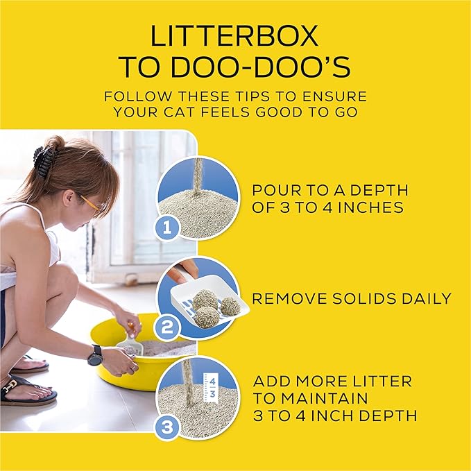 Purina Tidy Cats Lightweight 4-in-1 Strength Multi-Cat, Odor Control, Clumping, 99.9 Percent Dust Free Cat Litter - 12 lb. Box
