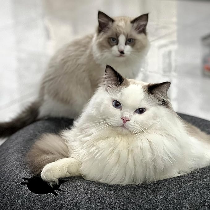 Donut Cat Tunnel Bed Peekaboo Cat Cave for Large Cats Up to 30 Lbs, Kitty Interactive Playing Tent House for Multiple Cats,Detachable,Scratch Resistant (Deep Gray, Large - 24 Inch Diameter)