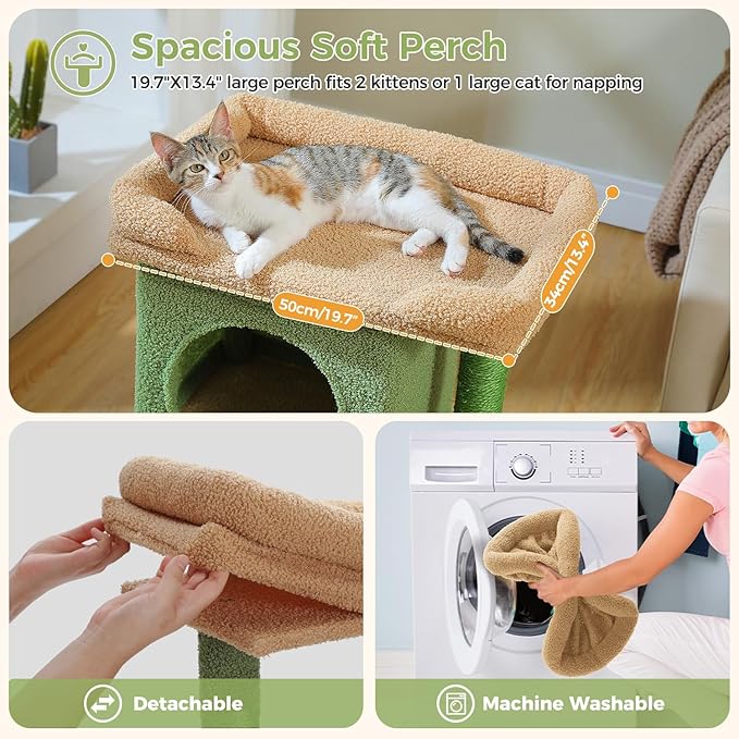 PAWZ Road Cat Tree for Indoor Cats, 26 Inches Cactus Cat Tower with Large Perch, Private Condo, Small Cat Condo with Spring Ball & 2 Scratching Posts for Cats