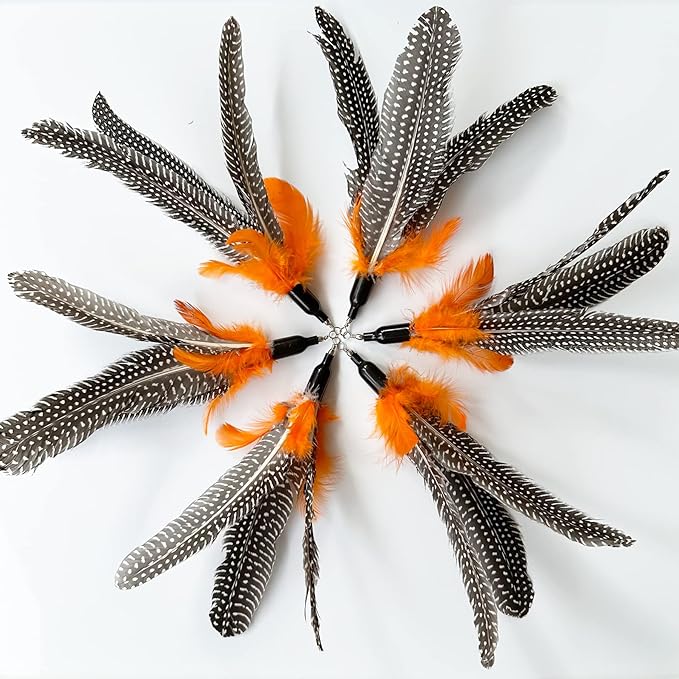 Cat Feather Toys Refill, 6 Pieces Cat Wand Attachments Da Bird Feathers Toy for Indoor Cats