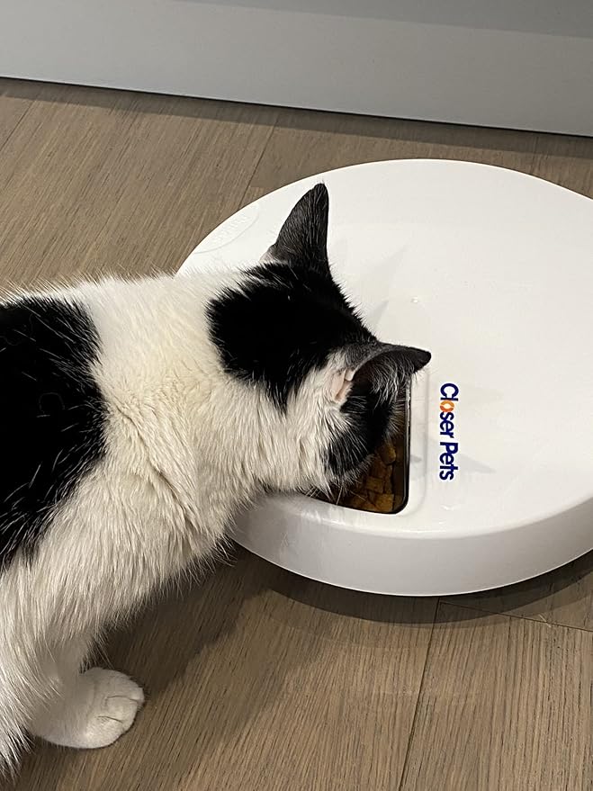 Cat Mate C500 5 Bowl Digital Timer-Controlled Automatic Pet Feeder - 5-Meal Feeder with Stainless Steel Bowl and Ice Packs, Wet or Dry Food, 5 Meals Up to 0.73 lb Each, White