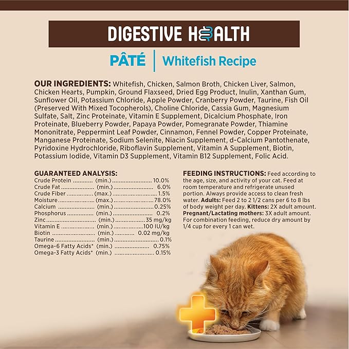 Wellness CORE+ Digestive Health Pate Adult Wet Cat Food, Natural, Protein-Rich, Grain Free, 3 Ounce, 12 Pack (Whitefish)
