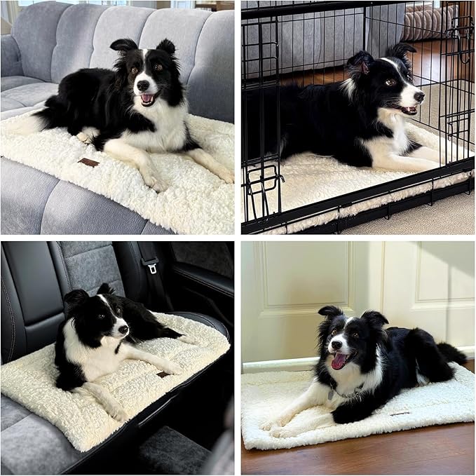 Fluffy Reversible Dog Bed Mat - Ultra Soft & Machine Washable Dog Crate Pad fit for Metal Kennel, Cozy Sleeping Mat, 35" x 22", Beige