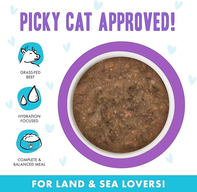 Weruva B.F.F. OMG - Best Feline Friend Oh My Gravy!, Best Day Eva! with Beef & Salmon in Gravy Cat Food, 5.5oz Can (Pack of 8)