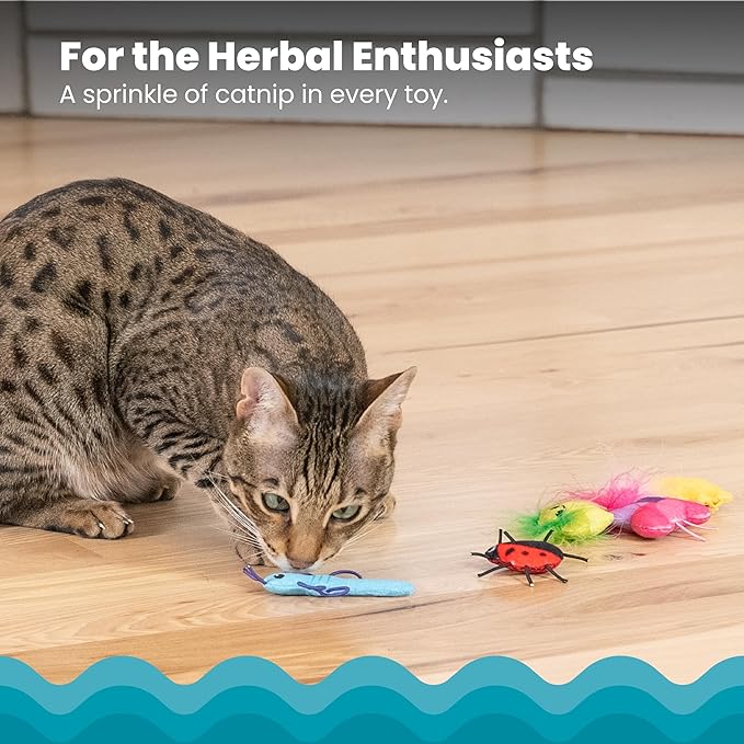 Catstages Cute as a Bug Cat Toys, 6-Pack Interactive Catnip Plush Toys with Crinkle, Feathers & Dental Mesh, Multicolored
