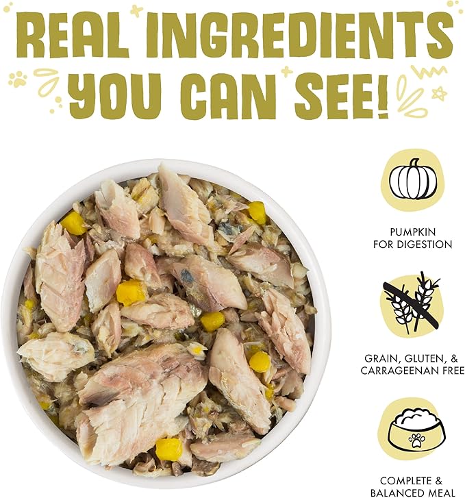 Weruva Classic Cat Food, Meow Luau with Mackerel & Pumpkin in Gravy, 5.5oz Can (Pack of 24)