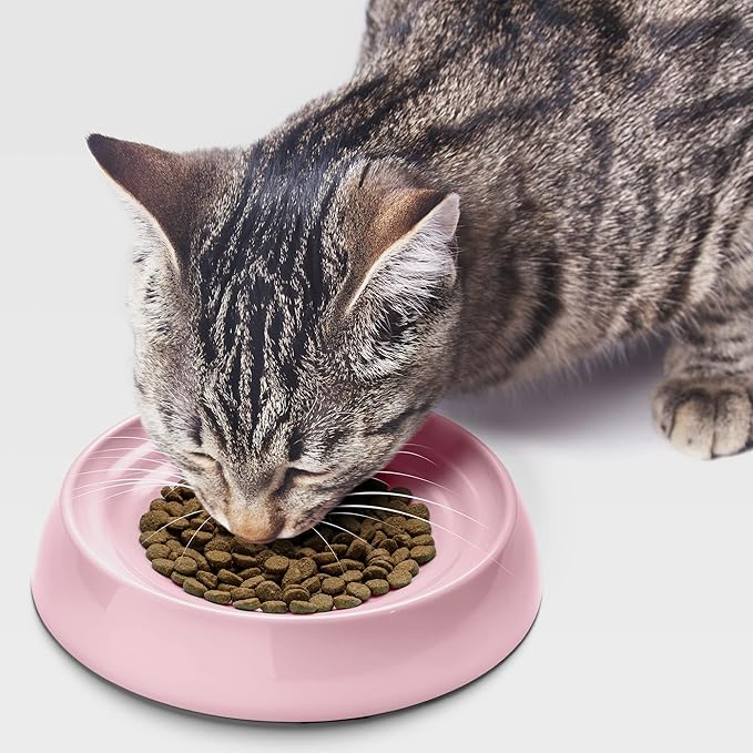 CatGuru Cat Bowls, Whisker Friendly Cat Food Bowl for Indoor Cats, Reliefs Whisker Fatigue, Wide Pet Bowl, Non Slip Pet Feeding Bowls, Shallow Kitten Dish (Set of Two, Pink)