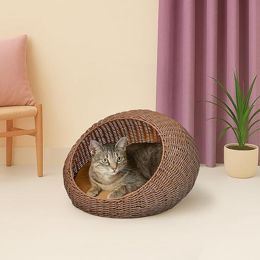 CBD3000B Fiora 19.5" x 18" Modern Circular Faux Wicker Pet Bed with Machine-Washable Cushion, Cat Beds for Indoor Cats, Brown