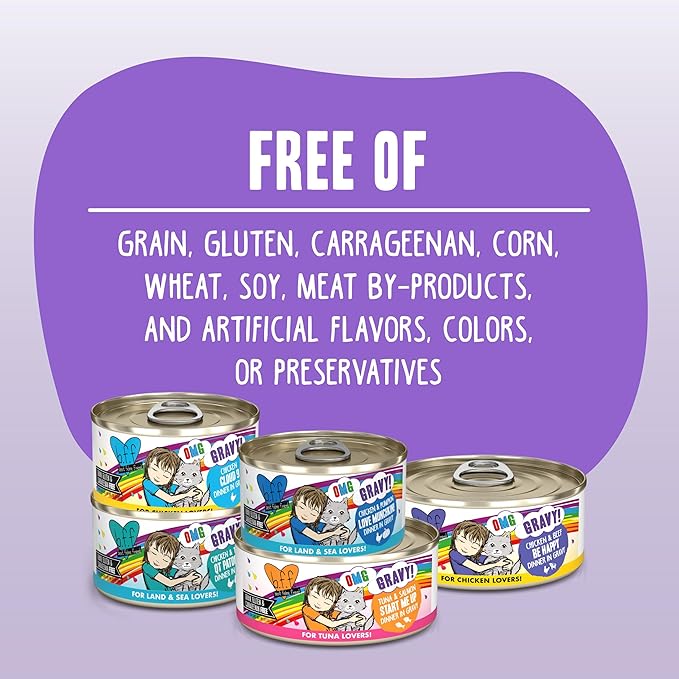 Weruva B.F.F. OMG - Best Feline Friend Oh My Gravy! Grain-Free Wet Cat Food Cans, Crazy 4 U! Chicken & Salmon, 2.8oz Can (Pack of 12)