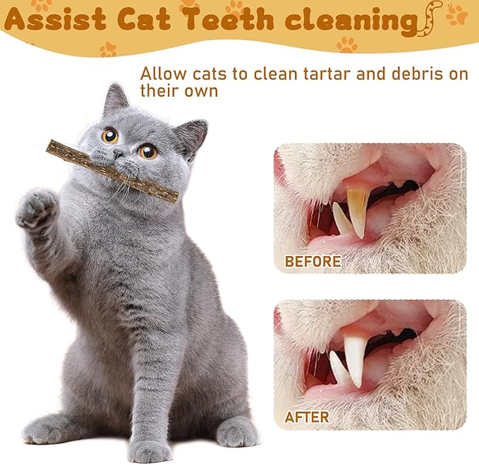 Silvervine Sticks for Cats, Natural Catnip Matatabi Chew Sticks Teeth Molar Chew Toys for Cat Kitten Kitty (at Least 12 PCS)