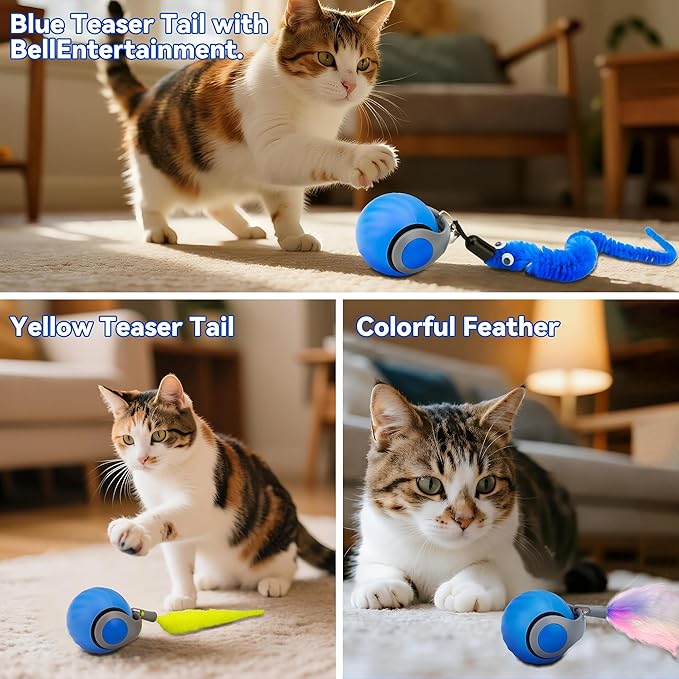 Vrurc Interactive Cat Toy Ball-Speedy with Feather & 3 Tails,Motion Activated Auto Roll,2 Speeds Rechargeable,Indoor Cat Stimulation, Enrichment,Keeps Busy,Durable (Blue)