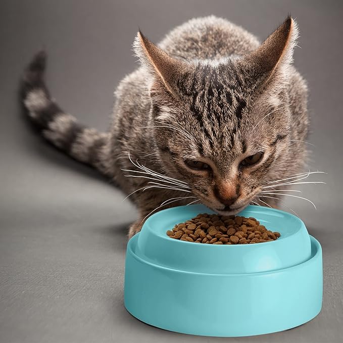 CatGuru Cat Bowls, Whisker Friendly Cat Food Bowl for Indoor Cats, Reliefs Whisker Fatigue, Wide Pet Bowl, Non Slip Pet Feeding Plate, Shallow Kitten Dish (Set of 2 Bowls, Aruba)