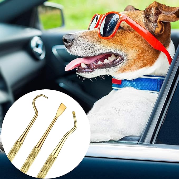 Hotop 3 Pieces Dog Dental Tooth Scaler and Scraper Stainless Double Headed Tarter Removing Tool Scraper Pet Teeth Cleaning Tools for Dog and Cat(Gold)