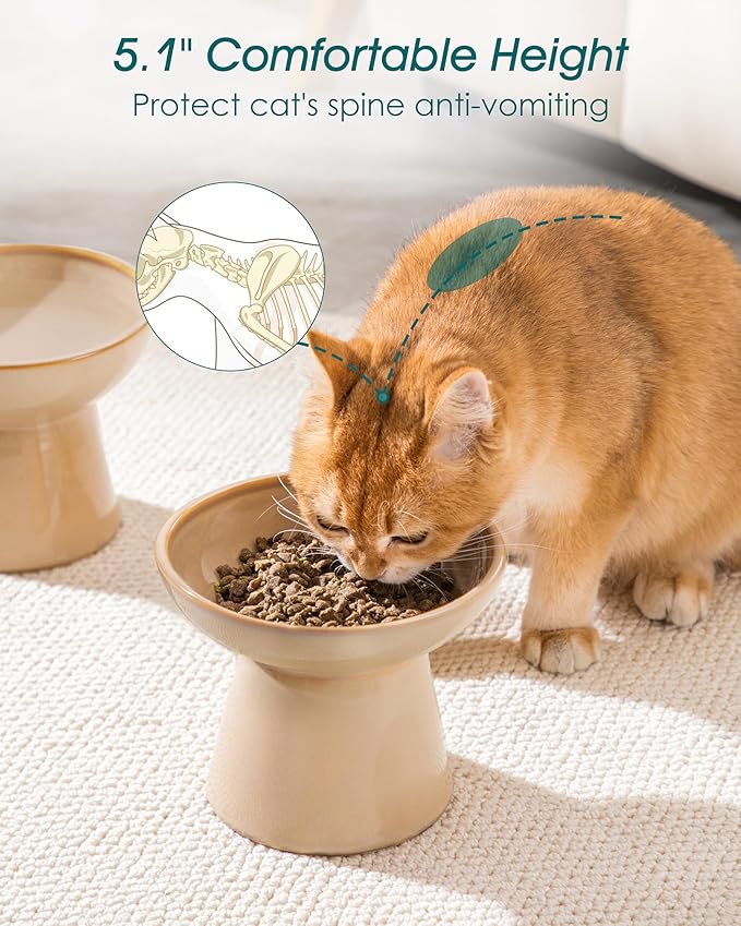 vancasso Ceramic Elevated Cat Bowls 2-Pack - 6.2" Extra Wide Raised Cat Food & Water Dishes, 5.1" Optimal Height Anti-Whisker Fatigue Shallow Bowls for Cats/Kittens/Dogs, Lead & Cadmium Free (Brown)