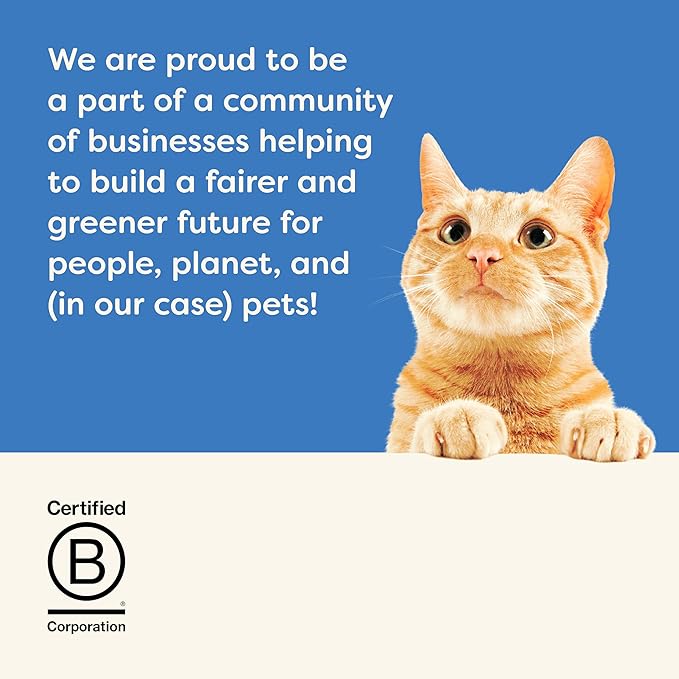 Applaws Natural Wet Cat Food, 24 Count, Limited Ingredient Canned Wet Cat Food, Ocean Fish in Broth, 2.47oz Cans