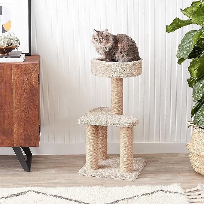 Amazon Basics Cat Tree - Indoor Cat & Kittens Multi-Level Climbing Activity Tower with Scratching Posts, Medium (31.5"H) - Beige