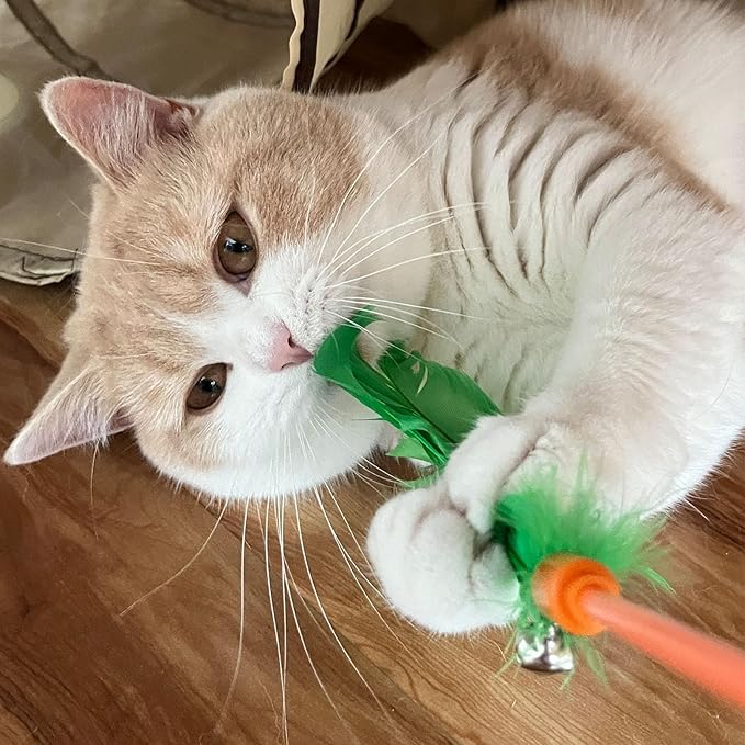 Cat Wands, 6 PCS Vibrant Color Feather Wands with Bell Unbreakable Cat Feather Sticks Interactive Kitten Toys for Indoor Cats