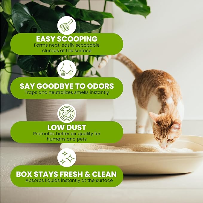 Almo Nature: Natural Unscented Cat Litter - 5 lbs - Non-Toxic, 100% Plant-Based, Clumping, Biodegradable, Compostable, for Cats & Kittens