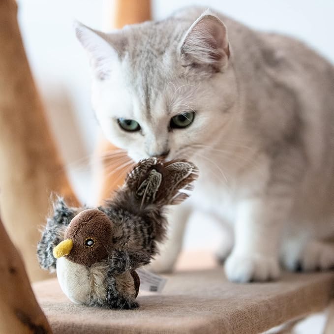 Gigwi Chirping Bird Cat Toy for Indoor Cats, Interactive Hangable Bird Cat Toy with Real Bird Sound and Feather, Automatic Bird Toy for Cats Exercise & Kicker to Self Play(No Flapping)