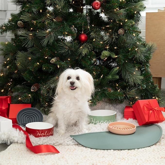 Waterproof Silicone Pet Food Mat - Non-Slip Spill-Proof Feeding Mats for Floors, Raised Edge Design, Easy-to-Clean Rubber Mat for Dog & Cat Bowls, 28" Across x 14" Deep, Large-Charcoal