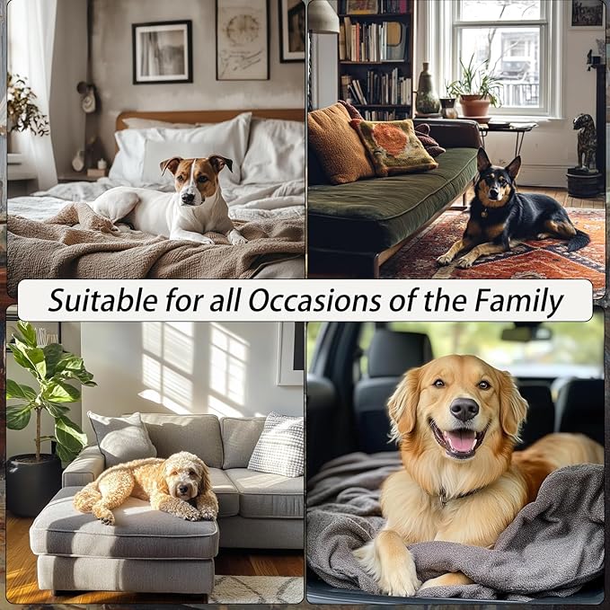 Dog Bed Mat 24"x17" Love Heart Shaped Crate Mat Fluffy Soft Washable Pet Pad Blanket for Indoor Bed Couch Sofa Floors Cat and Dogs Sleeping Mattress (Gray)