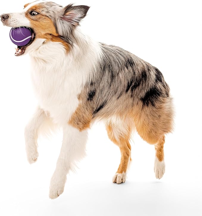 Playology Dog Toys | Squeaky Chew Ball - Squeaky and Bouncy Durable Floating Fetch Ball for Dogs | Jumbo Sweet Potato Scented Toy - Easy to Clean and Made from Non Toxic Materials