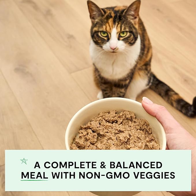 Open Farm Canned Cat Food, Paté for Complete & Balanced Nutrition, Grain-Free and Legume-Free Wet Cat Food, Salmon Recipe, 5.3oz Cans (Case of 12)