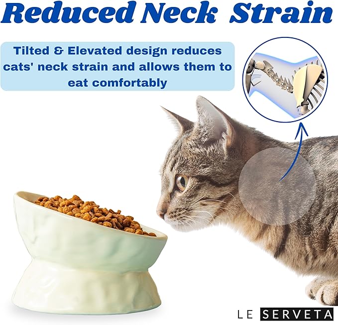 Ceramic Raised Cat Bowl, Elevated Pet Food Bowl for Small Dog, Cute Cat Dish Tilted, Whisker Fatigue, Wrinkle Texture (Yellow)