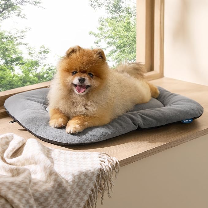 Bedsure Washable Dog Crate Pad for Small Dogs, Anti-Slip Puppy Kennel Dog Bed for Crate - Ultra Soft Fleece Flat Thin Pet Mat (Not Chew Proof), Light Grey 23"x17"