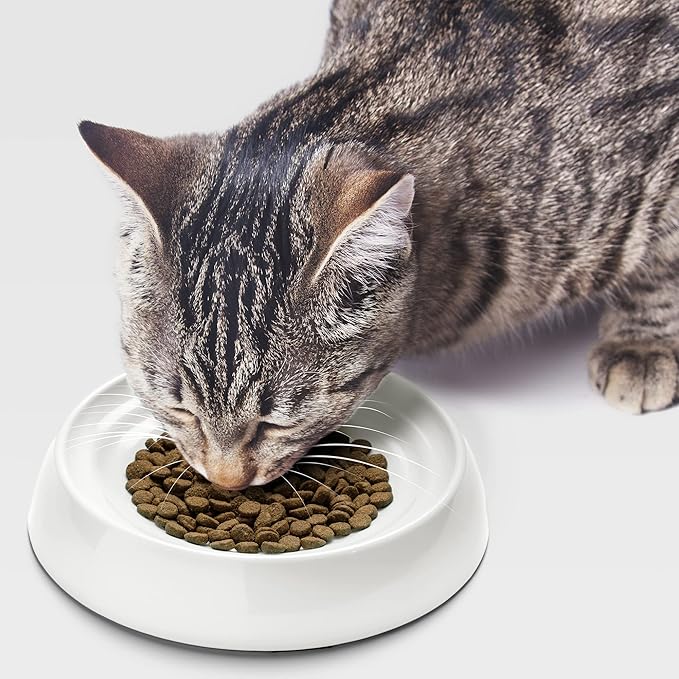 CatGuru Cat Bowls, Whisker Friendly Cat Food Bowl for Indoor Cats, Reliefs Whisker Fatigue, Wide Pet Bowl, Non Slip Pet Feeding Bowls, Shallow Kitten Dish (Marshmallow)