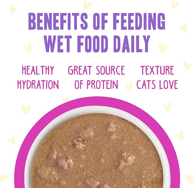 Weruva B.F.F. OMG - Best Feline Friend Oh My Gravy!, Chicken & Duck Dream Team with Chicken & Duck in Gravy, 5.5oz Can (Pack of 8)