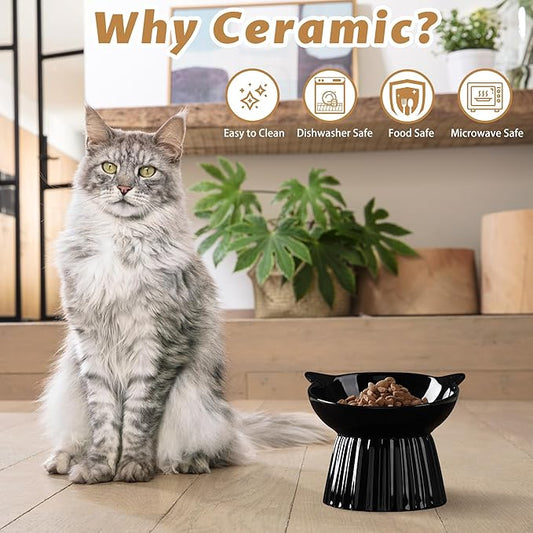 Ceramic Raised Cat Bowl,Tilted Raised Bowl Anti Vomit for Indoor Cats Whisker Friendly Pet Feeder for Cats Puppies, Microwave and Dishwasher Safe (Black)
