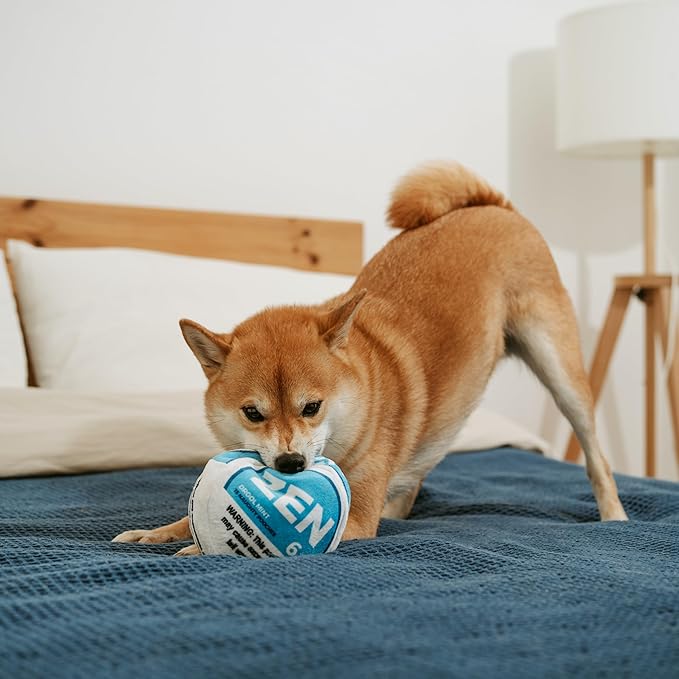 Zen Pupper Deckies Parody Dog Toy - Plush Squeaky and Crinkle Funny Dog Toy - Drool Mint